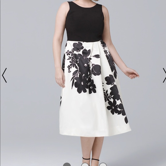 white house black market plus size